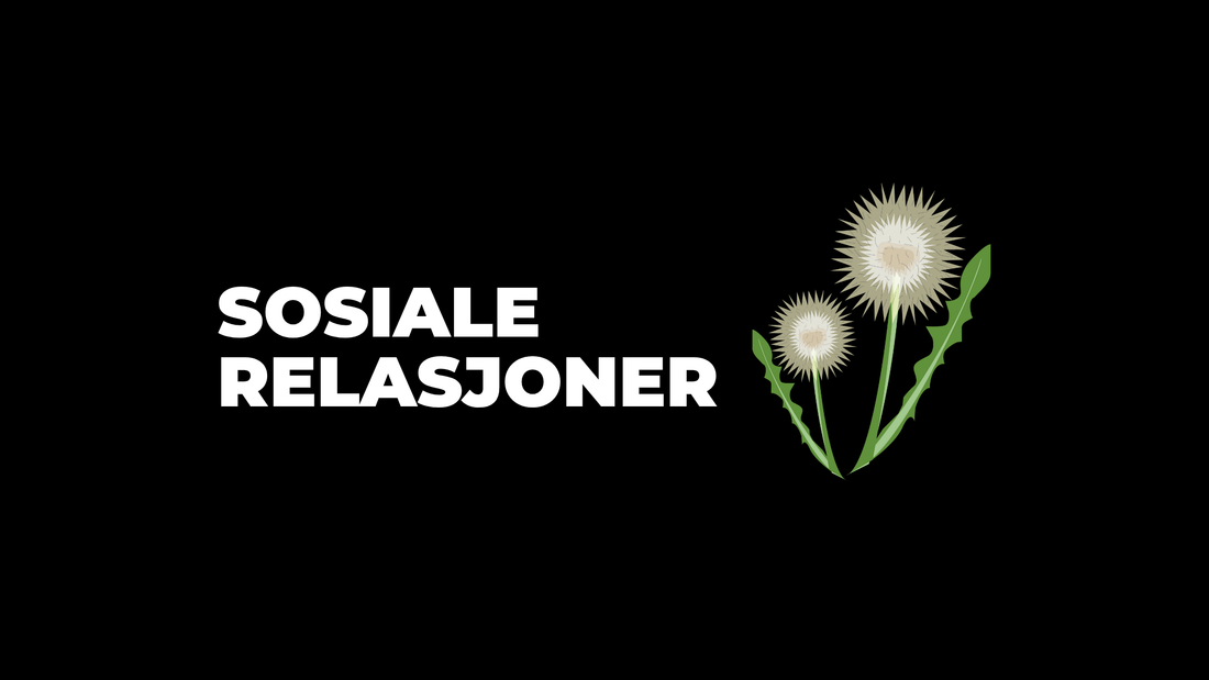 Sosiale relasjoner, sommeropprydding og knalldisiplin
